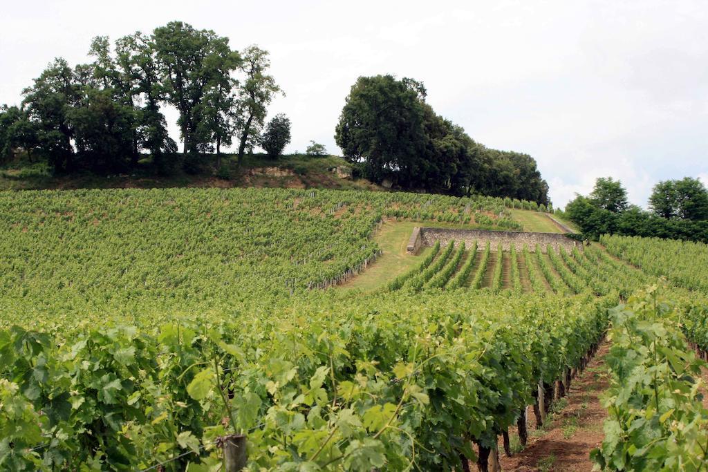 La Résidence Les Grands Vignobles Libourne Habitación foto